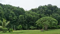 Borneo Combo Adventure