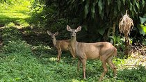 Atitlan Hiking and Birding - Day tour from Antigua