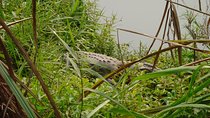 Chitwan National Park 2 nights and 3 days