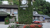Chauffeur: Fraser's Hill to Singapore Van Transfer