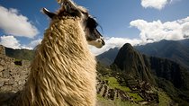 Machu Picchu Day Trip First Class Train option from Poroy