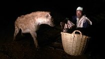 5 Days Tour to World Heritage–listed Harrar, Dire Dawa and Awash NATIONAL PARK