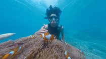 Snorkel the Beautiful Blue Lagoon 