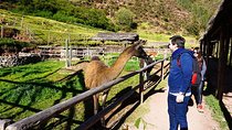 Tour to Sacred Valley: Tour Pisaq, Ollantaytambo, and Chinchero.