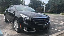 Private Transfer: Orlando Airport MCO to Lake Buena Vista Hotels
