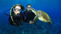 Intro Scuba Diving Experience in Hurghada