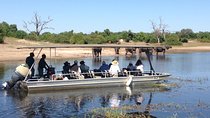 Chobe Full Day Trip