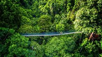 Chauffeur: Kuala Lumpur to Taman Negara Transfer [Van]