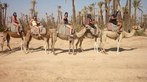 Marrakech camel ride tour