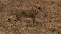 2Days 1Night tour to Mikumi National Park (Road trip)
