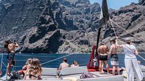 Western Tenerife Cruise with Lunch and Open Bar 