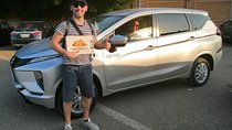 Private Transfer: Luxor to Aswan - Edfu, Kom Ombo Temples en route Or vice versa