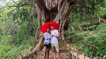 Hiking tour around Takayama city (About 3 hours)