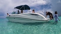 Small Group VIP Stingray City & Snorkel Encounter with Snacks