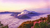 Malang Bromo Ijen Ketapang Harbour tour (2 Days)