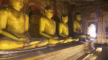 5 Day Private Tour Sri Lanka