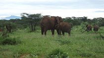 3 Days Samburu Safari
