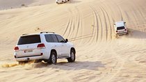 Morning Desert Safari with Camel Ride & Sand Skiing Private Tours