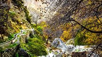 Valley & Garden 