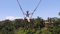 Ubud & volcano tour