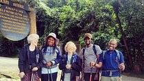 Kilimanjaro day hike. 