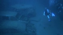 Unworldly shipwreck diving and immersive reef exploration – Negombo