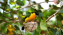 Bird Watching Sri Lanka