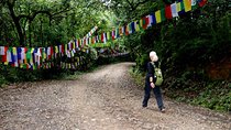 Godavari to Fulchoki Day Hike Near Kathmandu