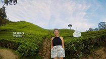  Solo Traveler With Holiday Walkers Sri Lanka ( Round Tour )