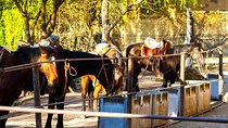 Sunset Horseback Riding