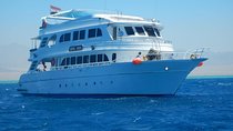 Ras Mohamed By Boat 