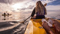 Kayak to the penguins in Simons Town