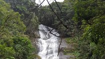 Top Tijuca Forest Private Tour with Botanical Garden