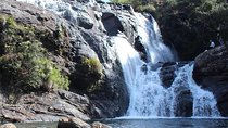 Horton Plains National park in Nuwara eliya 