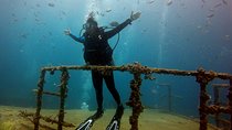 Bayahibe Diving