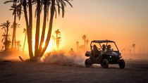 HALF DAY Buggy Palmeraie Marrakech