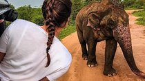 Best Of Sri lanka Tour (06 Days 05 Nights) - Kandy- N.Eliya -Bentota-Colombo