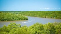 Private Can Gio Mangrove Eco Tour – Boat & Wildlife