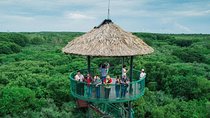 Private Can Gio Mangrove Eco Tour – Boat & Wildlife