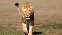 5 Days Budget Camping Kenya Safari