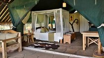 7 Days Amazing Big Five Safari Tour in Mara