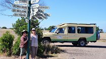 2-Day, 1-Night Ol Pejeta, The Heart of Rhino Conservation. 