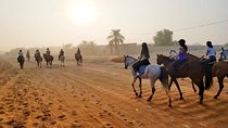 Desert Horse Riding Experience in Dubai