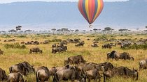 13 Days Kenya Tanzania Wildlife Safari