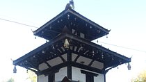 Muktinath Tour by Road 