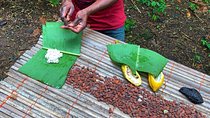One Day Cocoa Farm Experience, Boti Waterfall,aburi Botanical Gardens
