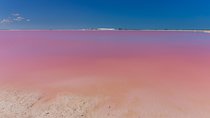 Private Chichen Itza, Cenote Ik Kil, Rio Lagartos & Las Coloradas