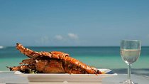 Saona Island Day Trip + Lobsters & Wine Included