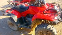 Quad Bike Safari in Luxor