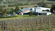 The REAL Hunter Valley Tour